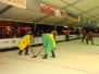 Striepergatonice2012